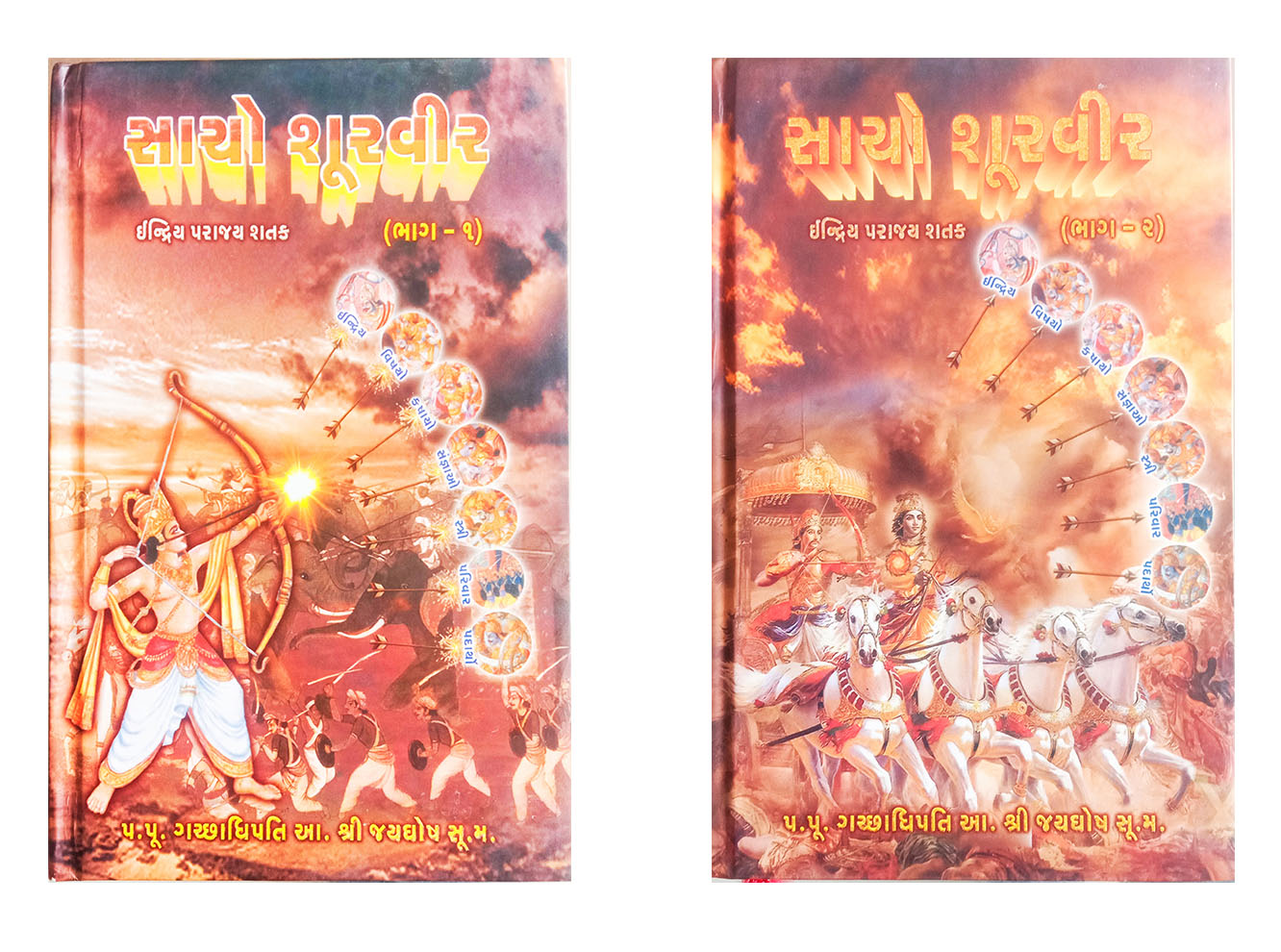 Book on -Sacho Survir Part 01 & 02 Set